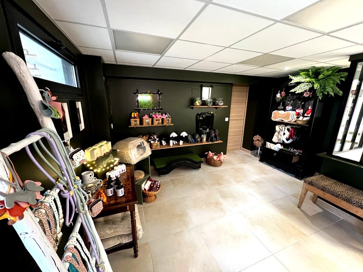 Salon de toilettage Dog Factory avant transformation