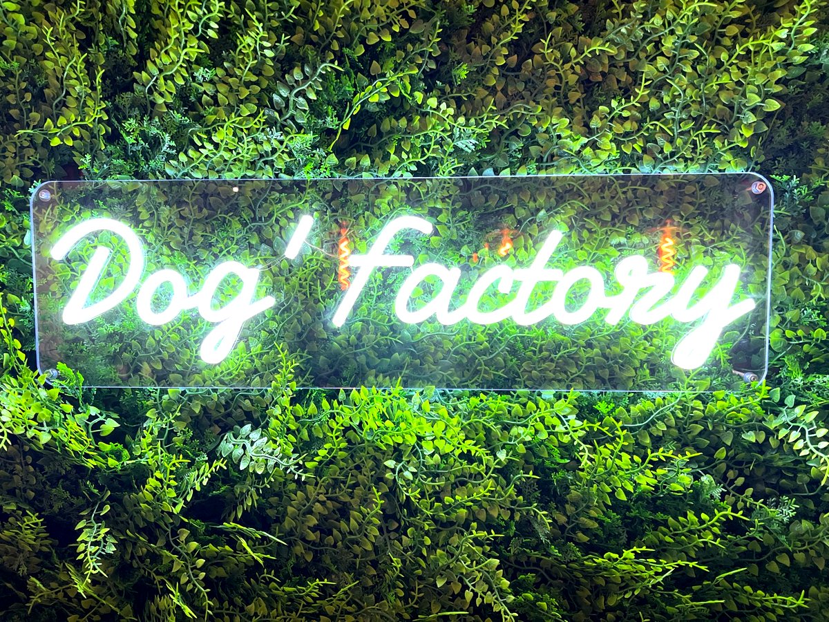 Salon de toilettage Dog Factory avec un chien heureux